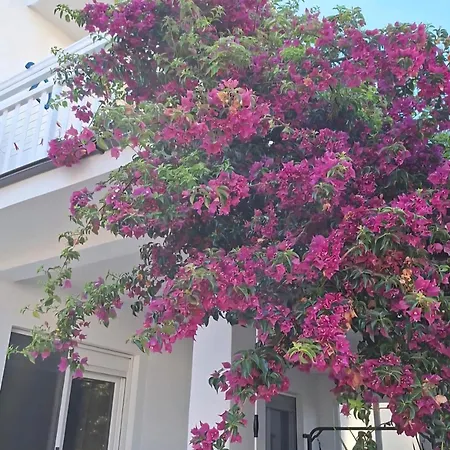 Miletic J-i Apartamento Vodice